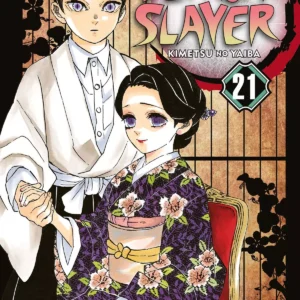 Demon Slayer Volume 21 - ITA
