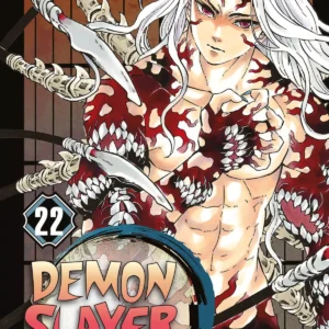 Demon Slayer Volume 22 - ITA